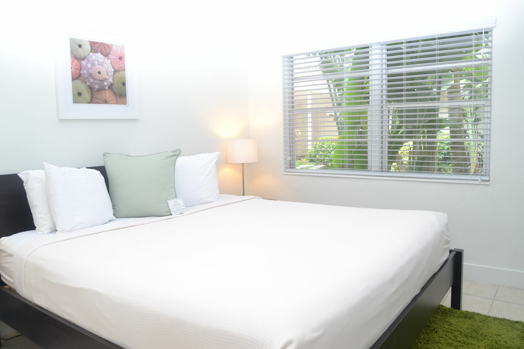 Solas A North Beach Village Resort Hotel Fort Lauderdale Dış mekan fotoğraf